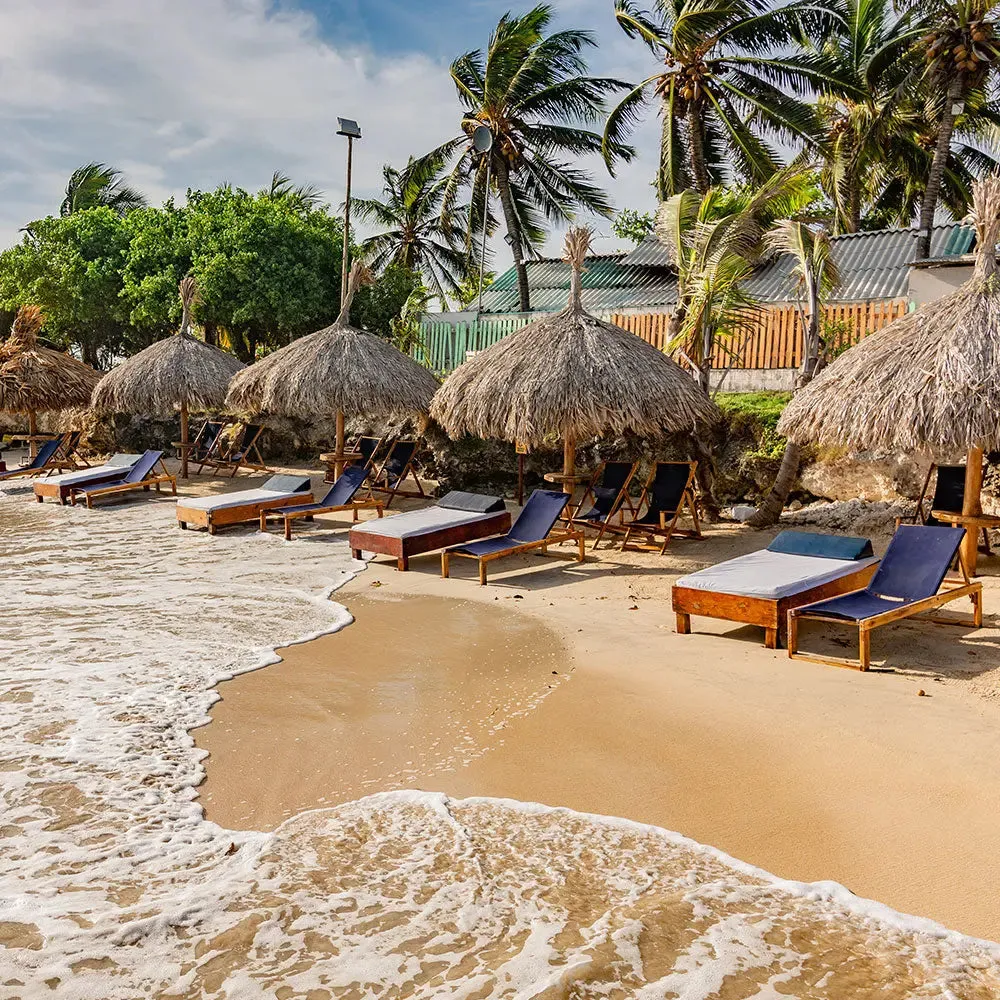 Palmarito Beach Club Day Pass