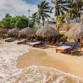 Palmarito Beach Club Day Pass